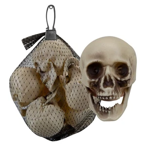 Halloween Skulls Decoration Pack Trick or Treat Party 17cm White - Picture 1 of 7