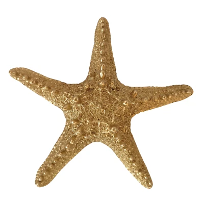 Deko Figur Seestern gold Starfish Seastar maritim Dekoobjekt Skulptur Statue - Bild 1 von 3
