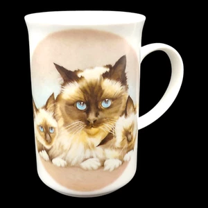 Birman Katze & Kätzchen Tee Kaffeebecher - 10 Unzen Fine Bone China St George England - Bild 1 von 7