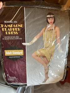 Damen 20er Jahre Flapper Kleid Vintage Swing Fransen Gatsby Roaring 20s NEU Medium - Bild 1 von 12