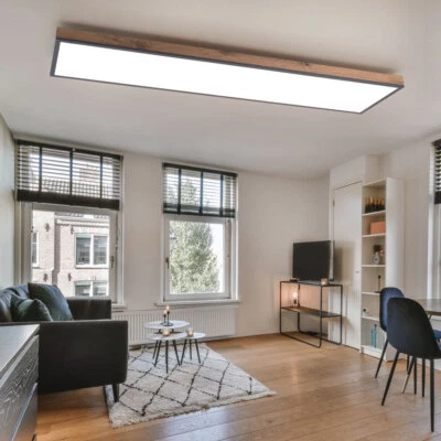 GLOBO Deckenpanel Deckenlampe Tageslichtleuchte Fernbedienung LED dimmbar Holzoptik