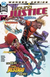 Young Justice Issue #14 - Picture 1 of 2