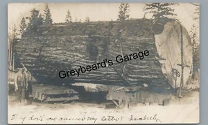 RPPC Early 1905 Railroad Train Huge Log ABERDEEN WA Logging Real Photo Postcard - Picture 1 of 2