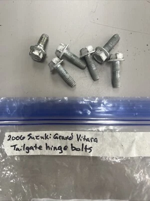Tornillos de bisagra para puerta trasera Suzuki Grand Vitara 2006 Foto 1 de 2