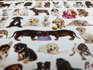 Rompecabezas Eurographics 2000 piezas títulos El mundo de los perros - Imagen 1 de 9
