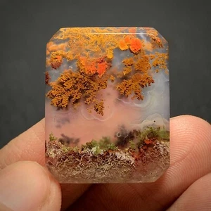 Scenic Moos Achat Cabochon 26x21x4 mm hochwertig 24,5 ct - Bild 1 von 7