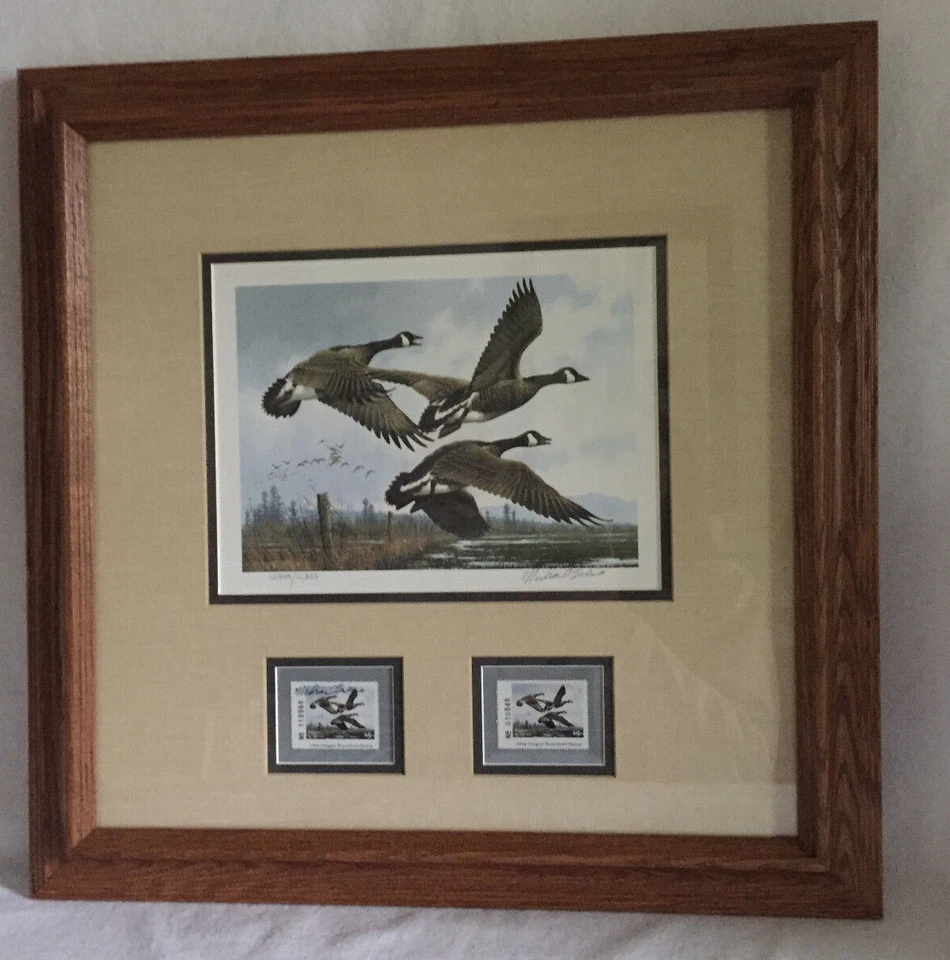 Oregon Waterfowl Geese Framed Print Stamps Signed Michael Sieves 1984 - Image 1 of 4