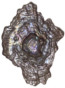 Piatto/ciotola in vetro Abalone vetro artistico iridescente guscio ostrica opalescente - 9”x7” - Foto 1 di 15