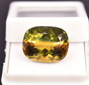 11,45 ct natürlicher zweifarbiger Turmalin Kissenform loser Edelstein AAA+ - Bild 1 von 8