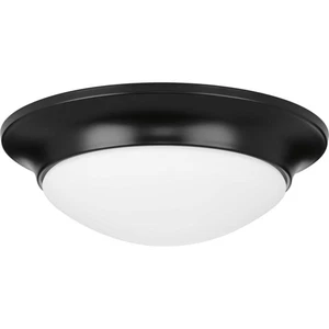Progress Lighting P350146 12"W Flush Mount Bowl Ceiling Fixture - Black - Picture 1 of 12