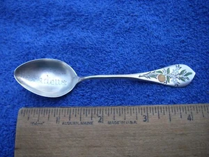 Antique PASADENA California SOUVENIR SPOON-ENAMEL ORANGE & BLOSSOM HANDLE - Picture 1 of 6