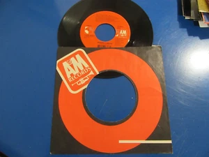 45 RPM Vinyl Record / SHERYL CROW / All I Wanna Do / Company Sleeve - Picture 1 of 1