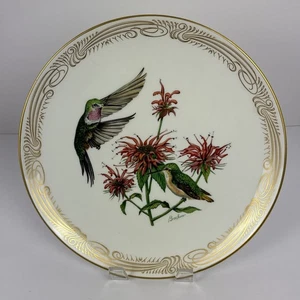 Edward Marshal Boehm Broad-Tailed Hummingbird Collectible Plate - NO BOX - Picture 1 of 5