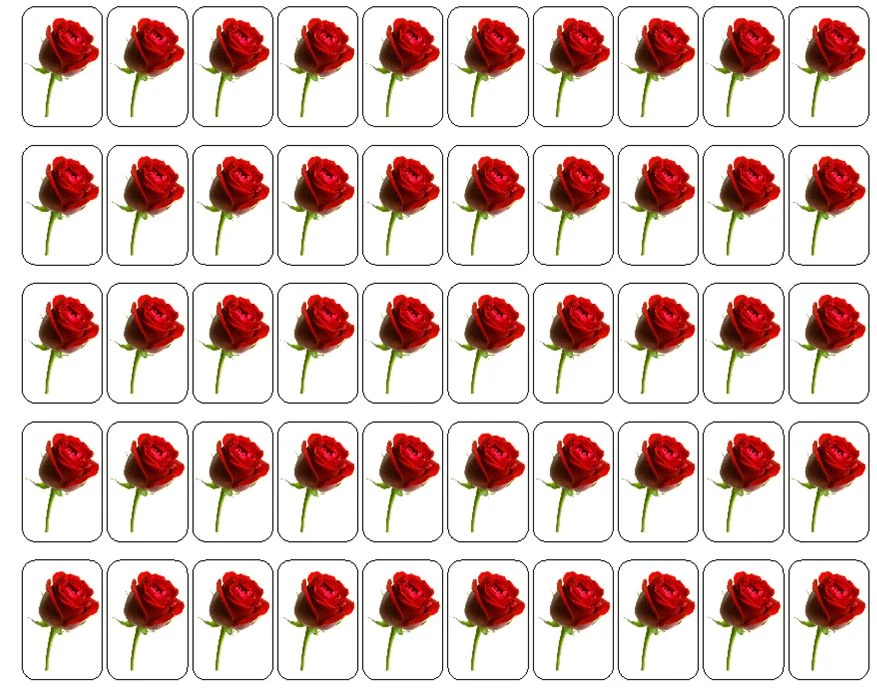 50 sellos/etiquetas/pegatinas sobre rosa roja, 1" por 1,5" Foto 1 de 1