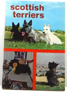 Scottish Terriers Paperback by Len and Debra Ruggiero VGC 1973 TFH Publications - Picture 1 of 12