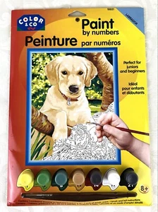 Color & Co pintura por número Labrador Retriever perro #10021 edades 8 + arriba - Imagen 1 de 6