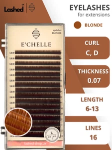 E'CHELLE BRAUN russische Volumenwimpern individuelle Wimpernverlängerung C & D Locke - Bild 1 von 11