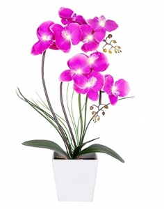 Orchideenlampe - LED beleuchtete Orchideengestecke, vorbeleuchtete künstliche Orchidee, Licht U... - Bild 1 von 7