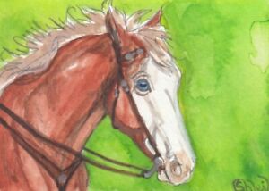 ACEO original Watercolor Art Card Horse chestnut Splash white Paint in bridle 