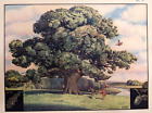 Vintage Enid Blyton School Series Poster Print THE OAK TREE 52cm 1938
