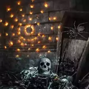 Halloween 4 Foot Spider Web LED Light Set, Orange Light w Black Wire, 8 Function - Picture 1 of 5