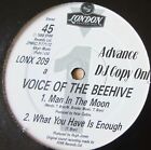 VOICE OF THE BEEHIVE THE MAN IN THE MOON ADVANCE DJ COPY 12" EP LONDON 1988 MINT