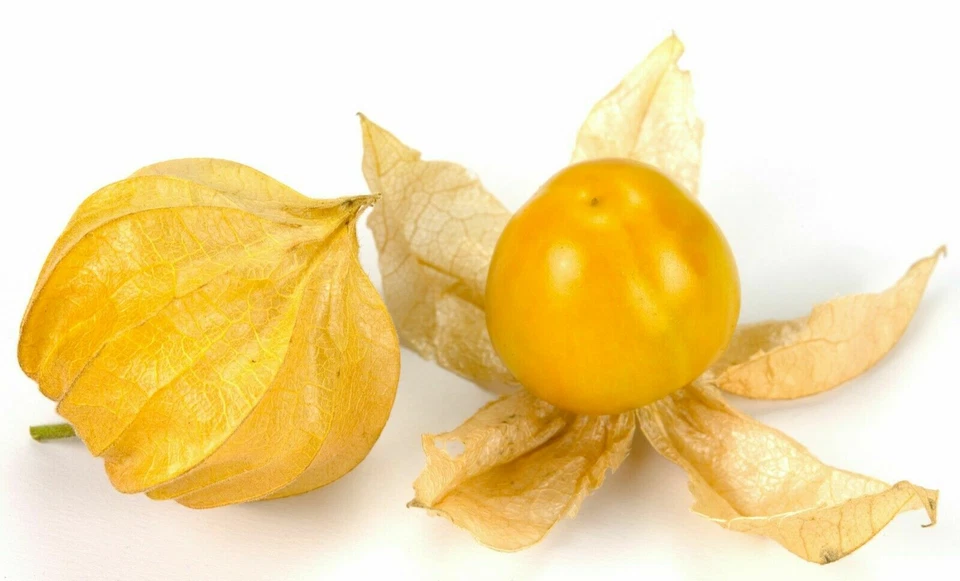 SAMEN fruchtig, leckere Früchte Andenbeere Physalis - in Desserts, Obstsalat - - Bild 1 von 1