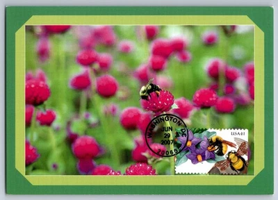 #4153 Protect Pollinators Bumble Bees and Nightshade FDC Maxi Card - Image 1 of 2