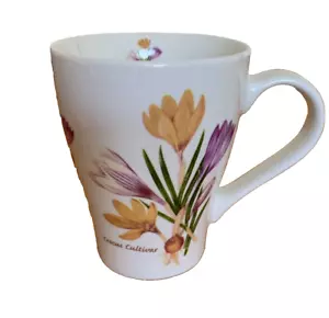 Mug Leonardo Collection Fine Bone China Tea Coffee Crocus design - Picture 1 of 8