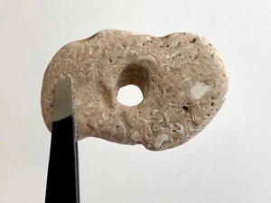 Natural Holey Beach Rock Hag Stone Adder Fairy Wish Amulet Mystical Magic #B USA - Picture 1 of 15