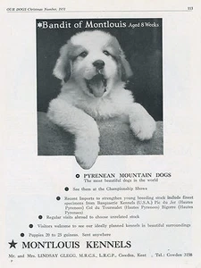 PYRENEAN MOUNTAIN DOG OUR DOGS 1951 DOG BREED KENNEL ADVERT PRINT PAGE MONTLOUIS - Picture 1 of 1