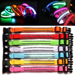 LED Hundehalsband Leuchtendes Reflektierend Halsband XS-XL Wiederaufladbar USB - Bild 1 von 15
