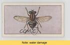 1925 Wills NZ Butterflies Moths & Beetles Tobacco Hover Fly #8 READ l7u