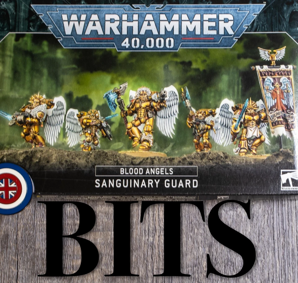 Warhammer 40K Horus Herejía Marines Espaciales Ángeles Sangrientos GUARDIA SANGUINARIA Brocas Foto 1 de 1