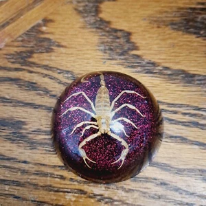 Scorpion In Lucite Red Glitter Paperweight 2.5'' - Picture 1 of 7