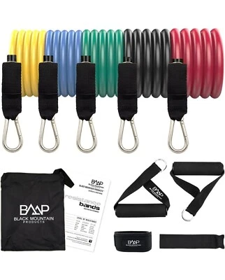 Juego de bandas de resistencia con anclaje de puerta, correa para tobillo, tabla de ejercicios y estuche de transporte Foto 1 de 4