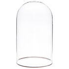 Plymor 4" x 7" Glass Display Dome Cloche with Silver Rim (no Base)