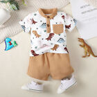 Summer Infant Toddler Boys Outfits Clothes Dinosaur T-shirt Tops Shorts 2Pcs Set