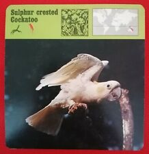 Editions Rencontre - Birds - 21-504 - Sulphur-crested Cockatoo - 1976