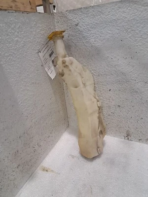 Depósito de refrigerante 2012 Town & Country Van Sku#4285617 Foto 1 de 4