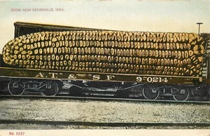 Escena de postal de exageración c1907 cerca de Estherville IA enorme oreja de maíz en coche RR - Imagen 1 de 2