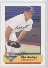 1994 Fleer ProCards Minor League Dave Gandolph #210