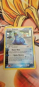 Team Aqua's Walrein Holo - 6/95 EX Team Magma vs. Team Aqua LP - Bild 1 von 2