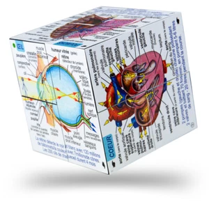 Cubo francés de sistemas y estadísticas del cuerpo humano ZooBooKoo - Cubo desplegable - Imagen 1 de 4