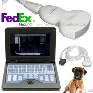 Portable Laptop Machine Digital Ultrasound Scanner CMS600P2VET Animal Pet Convex - Picture 1 of 11