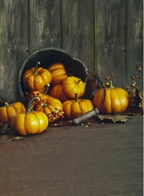 Fotografía fondo calabaza de Halloween 5x7 Foto 1 de 2