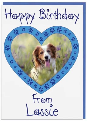 Personalised Photo Birthday Card From Your Pet Pets Dog Cat Rabbit (BLUE) - Image 1 of 4