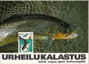 Fliegenfischen schöne Forellen Sportfischen Lappland Finnland FDC Maxi Card 1991 - Bild 1 von 1