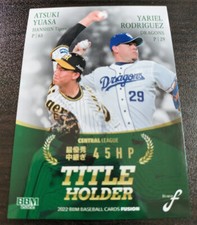 Yariel Rodriguez  Baseball Card  BBM 2022 Chunichi Dragons