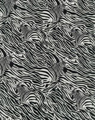 CENEFA VENTANA FORRADA CORTINA 42 X 12 CEBRA ANIMAL PRINT RAYAS SELVA Foto 1 de 4